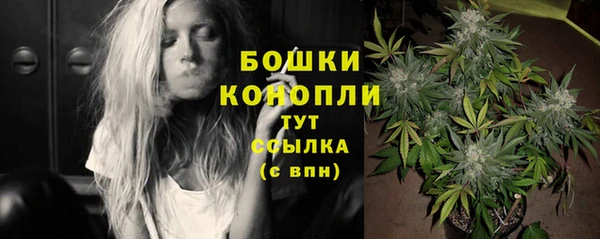 прущий лед Белокуриха